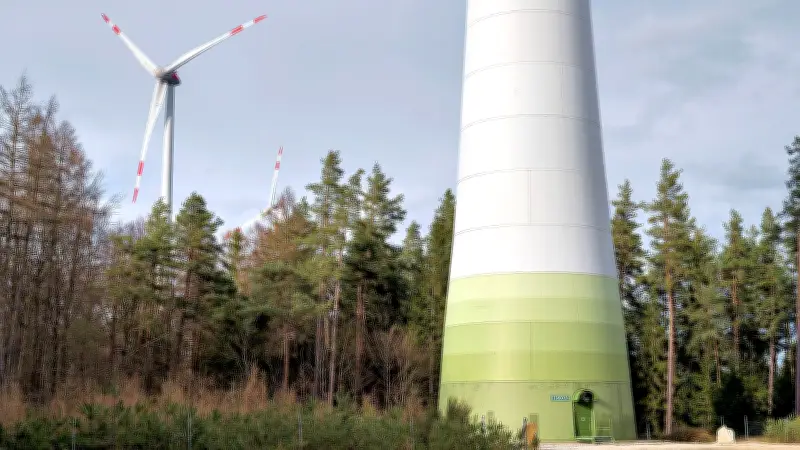Windkraft in Muldestausee: Entscheidung über Windpark in Dübener Heide vertagt