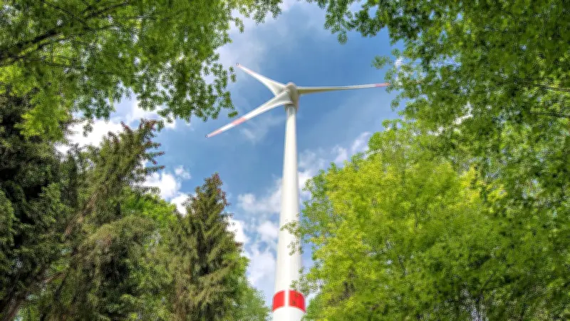 Windkraft-Konflikt in der Dübener Heide: Gemeinde Muldestausee ringt um Naturpark-Projekt