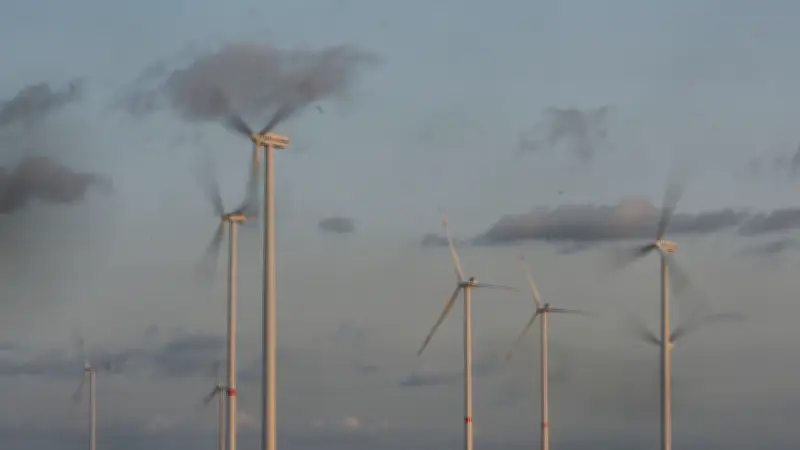 Windkraft-Moratorium in Brandenburg: Prignitz-Politiker kritisieren verpasste Chancen