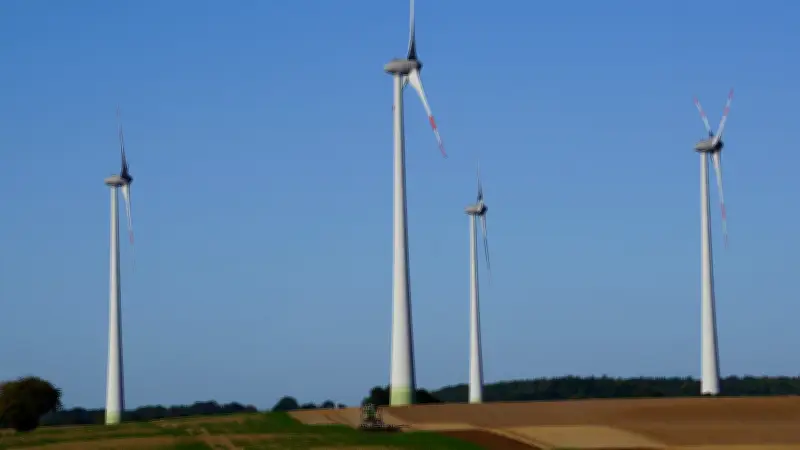 Windpark in Carlow: Energiewende nur mit Bürgerbeteiligung und kommunalem Nutzen