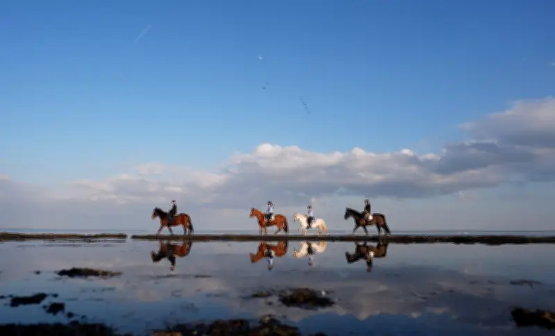 Winter 2025/26: Extreme Temperaturschwankungen in Nord- und Ostsee beeinflussen Schifffahrt