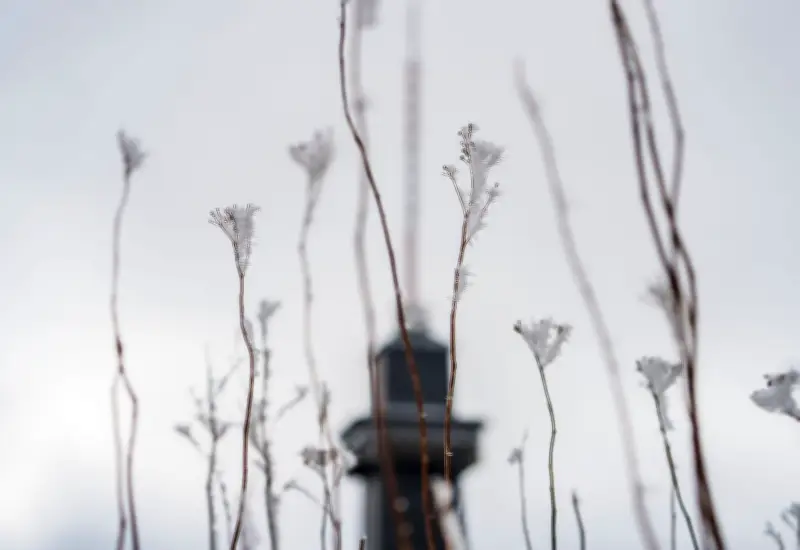 Winter kehrt zurück: Frost und Schnee zum Wochenende erwartet