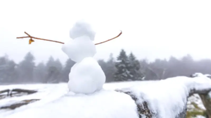Winterliches Comeback: Schnee überrascht Mitteldeutschland und beeinflusst Sportevents
