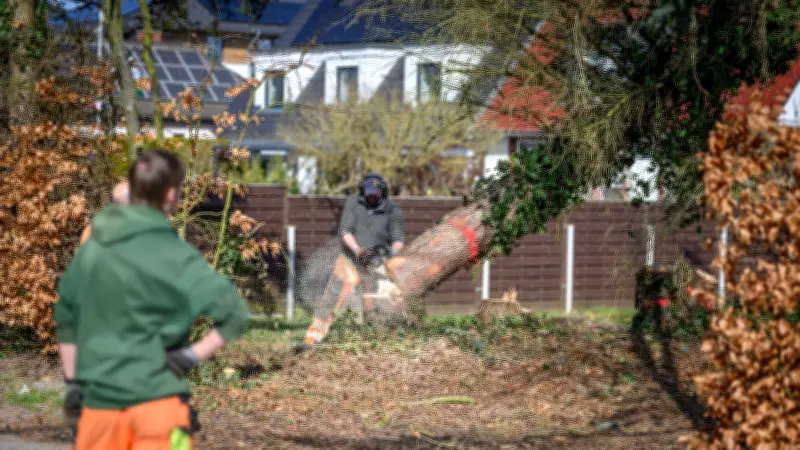 Wiro schließt Rostocker Quartier: Rodungsarbeiten für 17 neue Wohnungen gestartet
