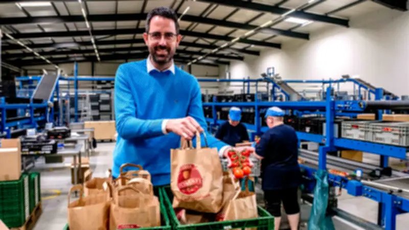Wittenberg Gemüse startet Saison mit frischen Tomaten und Erdbeeren aus riesigen Gewächshäusern