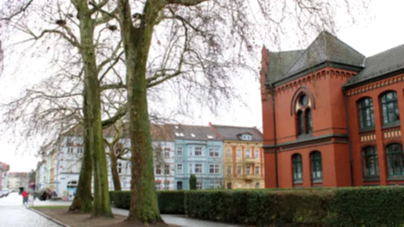 Wittenberge startet gezielte Vergrämung von Saatkrähen an Sandfurttrift