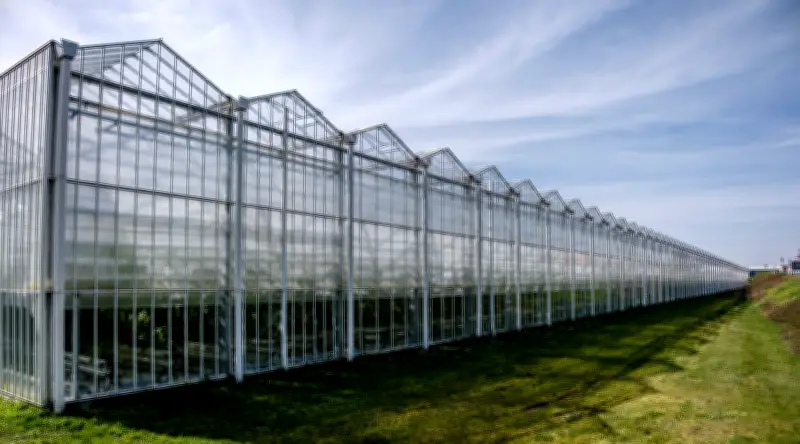 Wittenberger Stadtrat genehmigt grüne Energieprojekte für Gemüseanbau und Recyclinghof