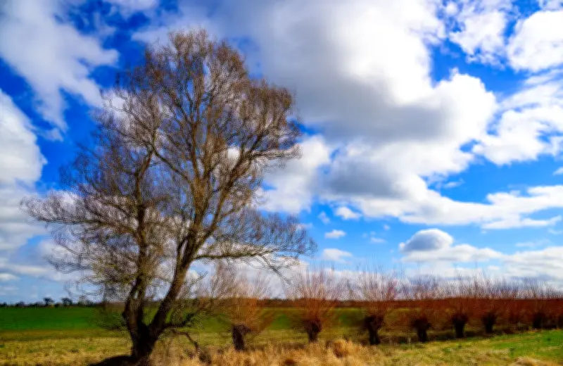 Wochenendwetter in Berlin und Brandenburg: Wolken und milde Temperaturen