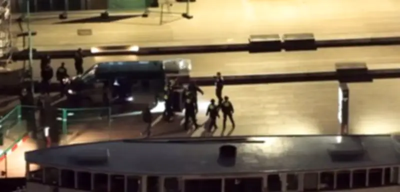 Wolf beißt Frau in Hamburg: Politiker streiten über Umgang mit dem Raubtier