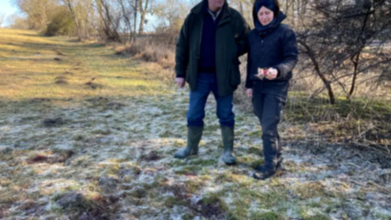 Wolf reißt trächtiges Schaf bei Stolpe: Schäferfamilie in Sorge um Herde und Sicherheit