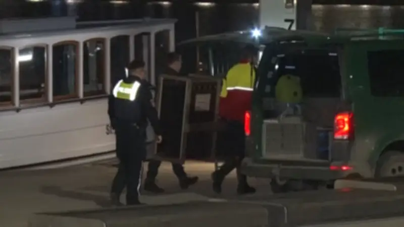 Wolfs-Attacke in Hamburg: Jäger-Chef fordert klare Entscheidung - Einschläfern oder Auswildern mit Sender