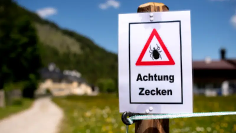 Zecken-Alarm in Hessen: FSME-Fälle mehr als verdoppelt – So schützen Sie sich richtig