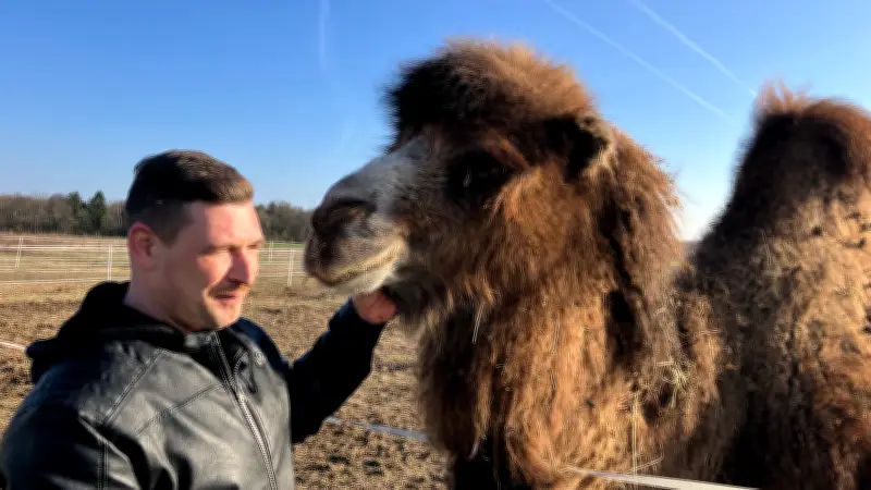 Zirkus Olympia in Dodow: Familienbetrieb kämpft um Tradition in digitaler Welt