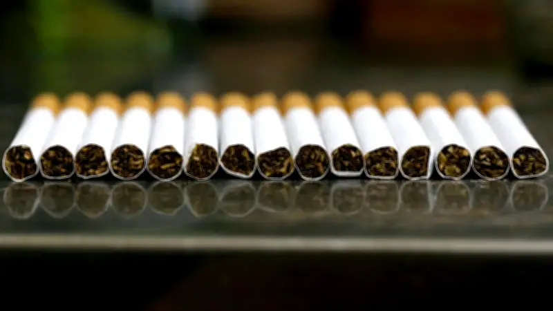 Zoll entdeckt 1,2 Millionen Schmuggelzigaretten in angeblichen Geschirrspüler-Kartons