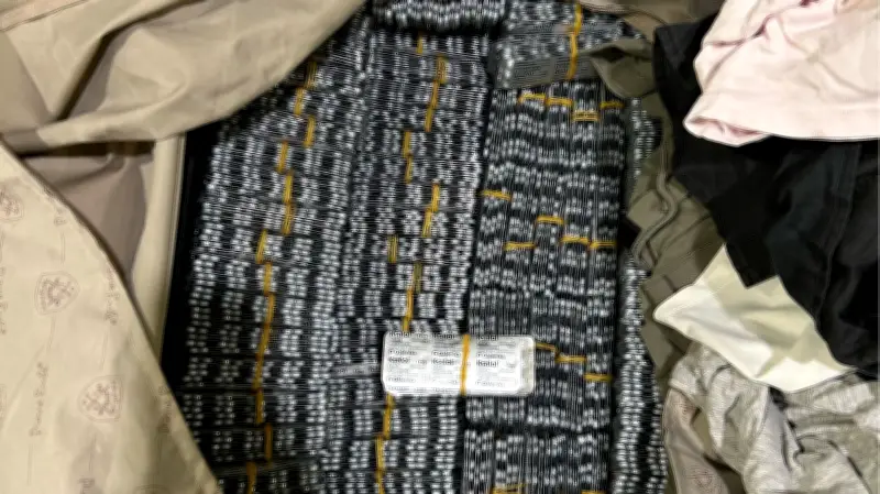 Zoll entdeckt 45.000 illegale Beruhigungsmittel in Rostock - Schmuggel für Kleinstadt