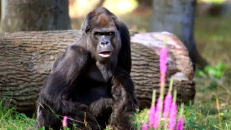 Zoo Rostock startet in die Hauptsaison: Günstige Preise nur noch bis Ende März
