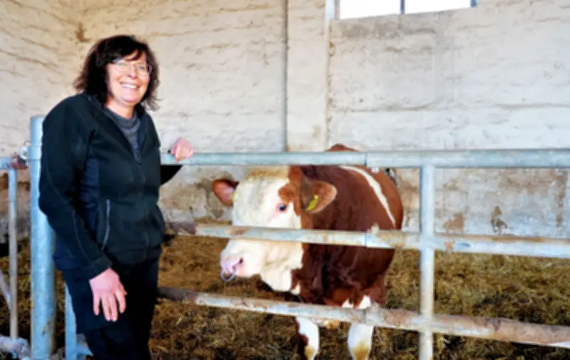 Zuchtbulle Jörg erzielt Rekordpreis: Landwirtin Petra Jentsch aus Wendelstein feiert Auktionserfolg
