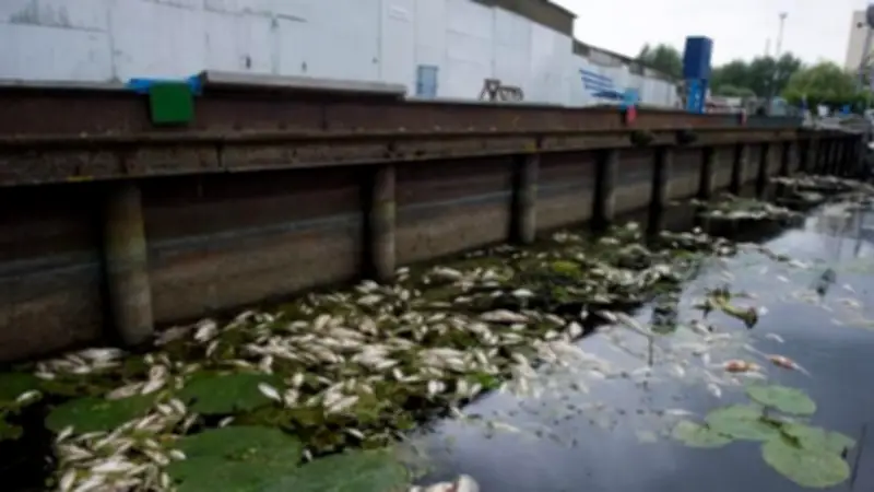 Zuckerfabrik Anklam: Umweltbeirat feiert 10 Jahre nach Fischsterben-Katastrophe