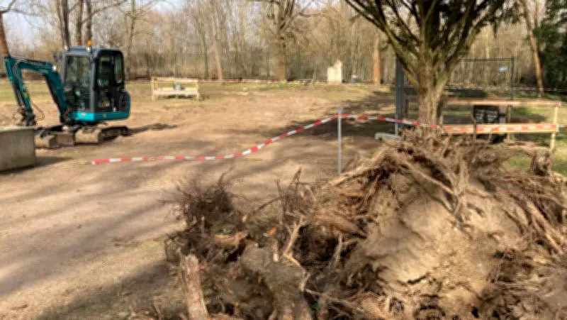 Zwei einsame Gräber auf Bernburger Friedhof: Baustelle sorgt für Irritationen
