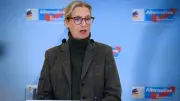AfD-Chefin Alice Weidel: Millionen TikTok-Likes aus Nigeria - Manipulationsverdacht
