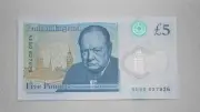 Banknoten-Revolution in Großbritannien: Igel verdrängen Churchill von Geldscheinen