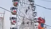 Chaos in Indien: Bienenschwarm greift Riesenrad-Besucher an - Gefährliche Flucht