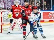 DEL-Playoffs: Kölner Haie führen 2:0, Eisbären Berlin gleichen aus