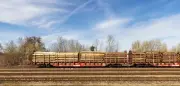 Deutsche Bahn treibt Thüringer Holzunternehmen auf die Straße: Güterverkehr verliert Kunden