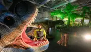 Dinosaurier-Ausstellung in Hannover: Gigantische Urzeitwesen erobern Messehalle