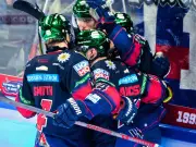 Eisbären Berlin direkt in DEL-Playoffs - Kölner Haie stellen Punktrekord ein