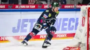 Eisbären Berlin: Fünf Gründe für den Serienausgleich gegen Straubing Tigers
