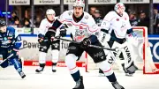 Eisbären Berlin vor Play-offs: Power-Stürmer Brett Murray aus Nürnberg im Visier