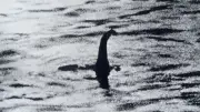 Experte behauptet: Ungeheuer von Loch Ness hat Familie - Ganze Monster-Sippe im See