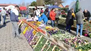 Frühlings- und Ostermarkt Blüthen: Traditioneller Saisonstart mit Blumen, Kunsthandwerk und Familienprogramm