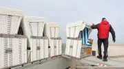Frühlingserwachen an Nord- und Ostsee: Strandkörbe kehren an die Küsten zurück