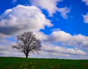 Frühlingswetter in Berlin und Brandenburg: Erst Sonne, dann Sturm und Regen