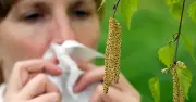 Frühstart der Pollensaison: Warum Allergiker jetzt schon mit Heuschnupfen kämpfen