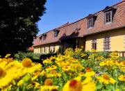 Goethes grüne Leidenschaft: Wie der Dichterfürst Weimar gärtnerisch prägte