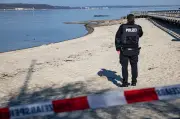 Großwal an Ostseeküste gestrandet: Rettungsaktion in Timmendorfer Strand läuft