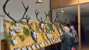 Hegeschau in Meiersberg: Jäger präsentieren beeindruckende Trophäen aus der Jagdsaison