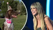 Heidi Klum als Hai-Di: Model spricht Disney-Figur und würde gern in ihre Hündin schlüpfen