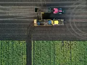 Iran-Konflikt treibt Düngerpreise: Bauern in Sachsen-Anhalt kämpfen mit Kostenexplosion