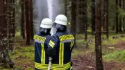 Kinder zünden Feuerwerk im Wald: Feuerwehr löscht Brände an Landesgrenze