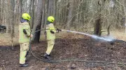 Kleiner Brand, große Gefahr: Feuerwehr verhindert Waldkatastrophe bei Groß Trebbow