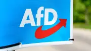 Kommunalwahlen in Hessen: AfD feiert deutliche Zuwächse und Verdopplung der Stimmen