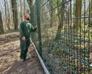 Köthener Tierpark schützt Tiere mit neuem Zaun vor Füchsen und Wölfen