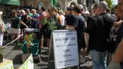 Landgericht Halle erhöht Strafe gegen Cannabis-Aktivistin in neuem Urteil