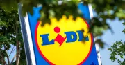 Lidl setzt auf Holz: Zweite nachhaltige Filiale im Großraum München entsteht