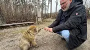 Malchower Affenwald: Berberaffen feiern 25-jähriges Jubiläum mit neugierigen Streichen