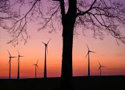 Mildes Wetter in Berlin und Brandenburg hält an - Regen ab Freitag erwartet